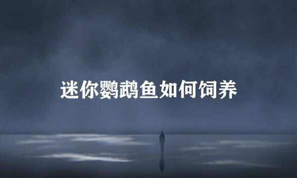 迷你鹦鹉鱼如何饲养