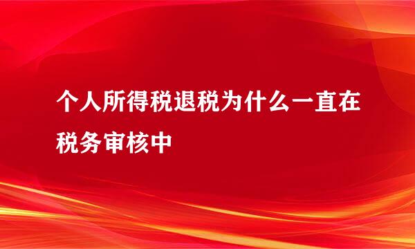 个人所得税退税为什么一直在税务审核中