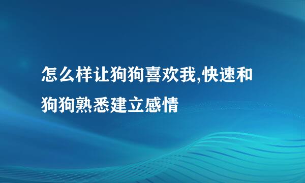 怎么样让狗狗喜欢我,快速和狗狗熟悉建立感情