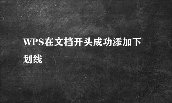 WPS在文档开头成功添加下划线