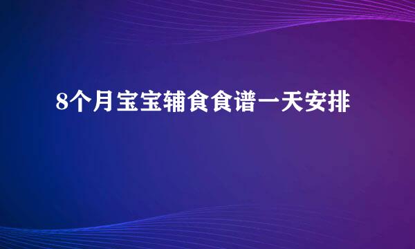 8个月宝宝辅食食谱一天安排