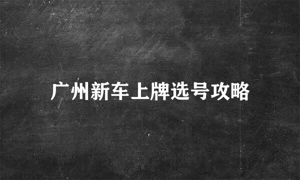 广州新车上牌选号攻略
