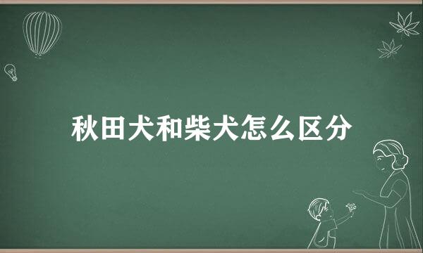 秋田犬和柴犬怎么区分