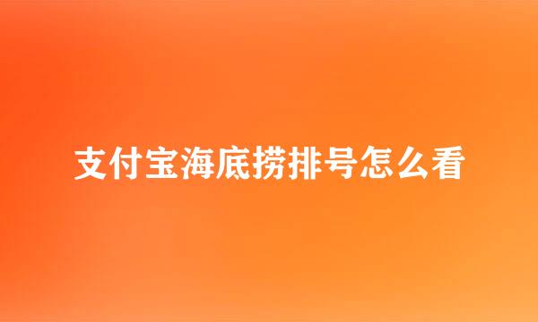 支付宝海底捞排号怎么看