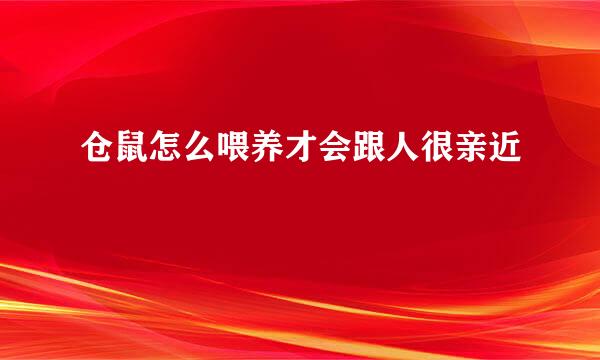 仓鼠怎么喂养才会跟人很亲近