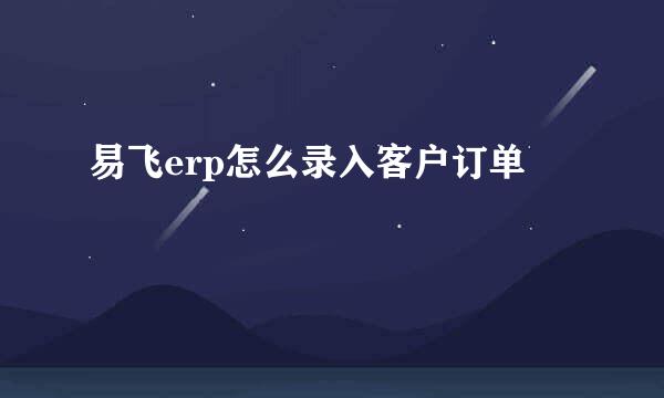 易飞erp怎么录入客户订单