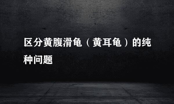 区分黄腹滑龟（黄耳龟）的纯种问题