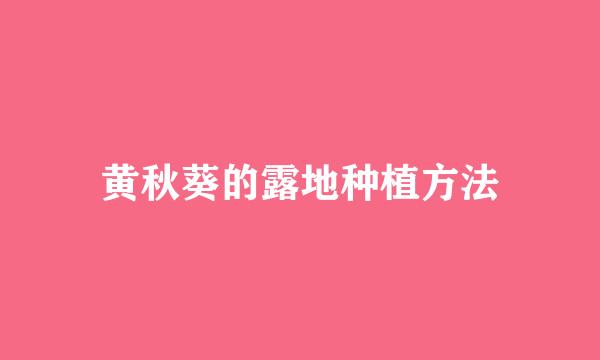 黄秋葵的露地种植方法