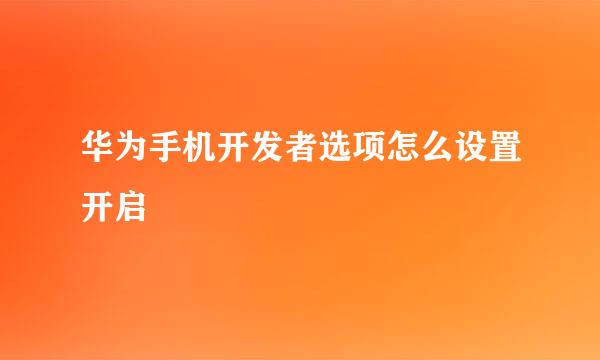 华为手机开发者选项怎么设置开启