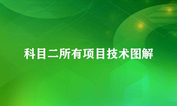 科目二所有项目技术图解