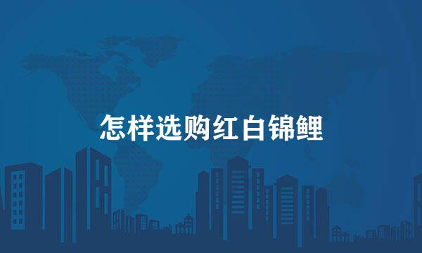 怎样选购红白锦鲤