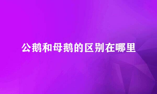 公鹅和母鹅的区别在哪里