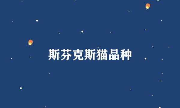 斯芬克斯猫品种
