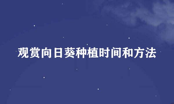观赏向日葵种植时间和方法