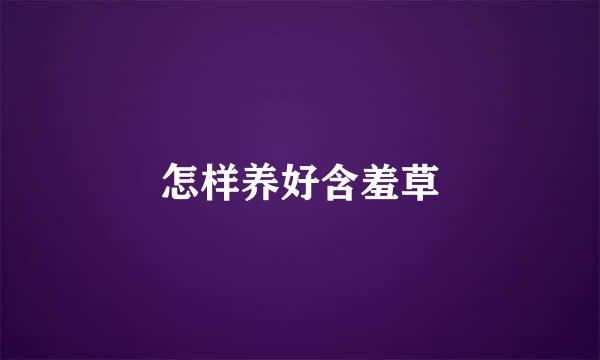 怎样养好含羞草