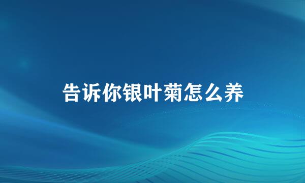 告诉你银叶菊怎么养