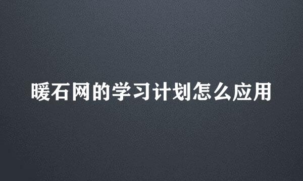 暖石网的学习计划怎么应用