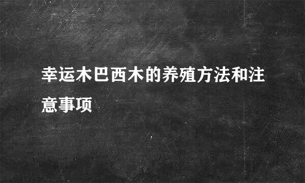 幸运木巴西木的养殖方法和注意事项