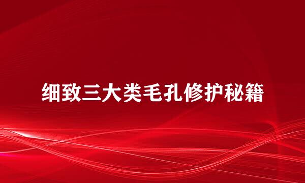 细致三大类毛孔修护秘籍