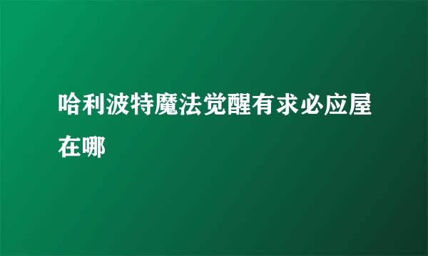 哈利波特魔法觉醒有求必应屋在哪