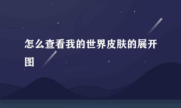 怎么查看我的世界皮肤的展开图