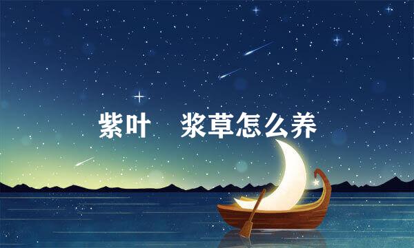 紫叶醡浆草怎么养