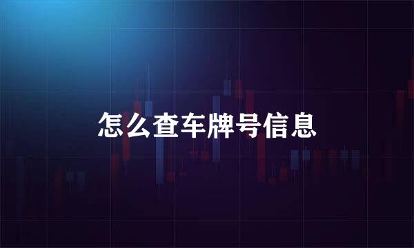 怎么查车牌号信息