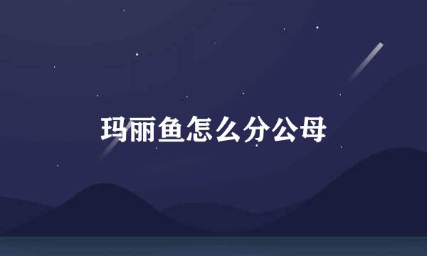 玛丽鱼怎么分公母