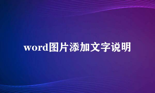 word图片添加文字说明