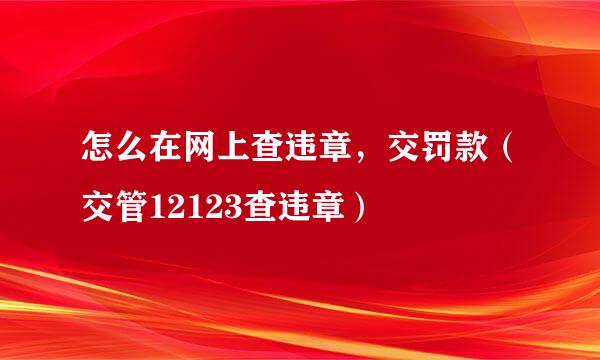 怎么在网上查违章，交罚款（交管12123查违章）