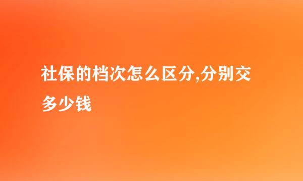 社保的档次怎么区分,分别交多少钱