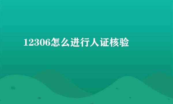 12306怎么进行人证核验