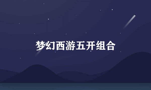 梦幻西游五开组合