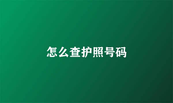 怎么查护照号码
