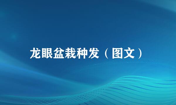 龙眼盆栽种发（图文）