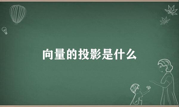 向量的投影是什么