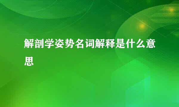 解剖学姿势名词解释是什么意思