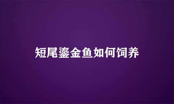 短尾鎏金鱼如何饲养