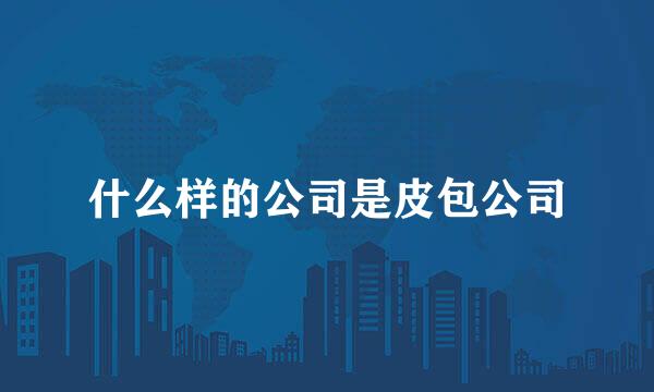 什么样的公司是皮包公司