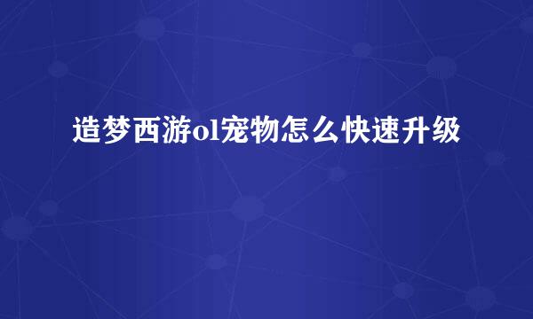 造梦西游ol宠物怎么快速升级