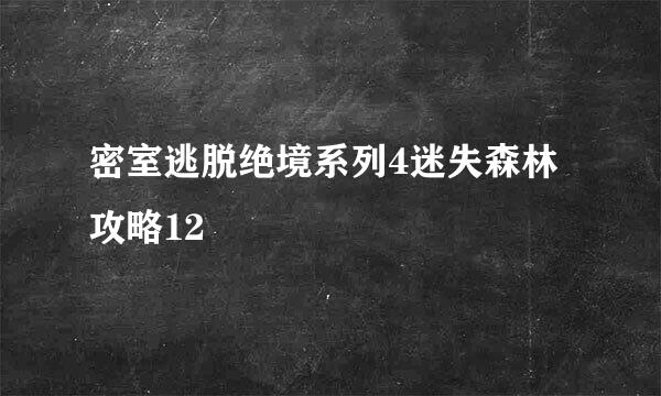 密室逃脱绝境系列4迷失森林攻略12