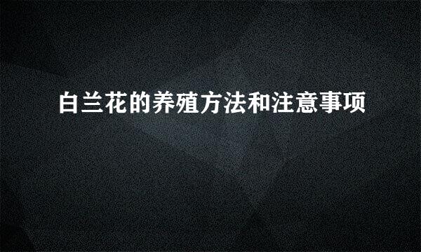 白兰花的养殖方法和注意事项