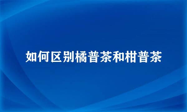 如何区别橘普茶和柑普茶