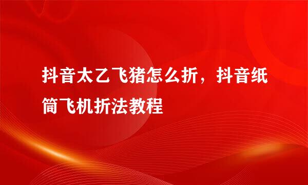 抖音太乙飞猪怎么折，抖音纸筒飞机折法教程
