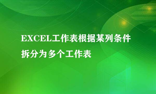 EXCEL工作表根据某列条件拆分为多个工作表