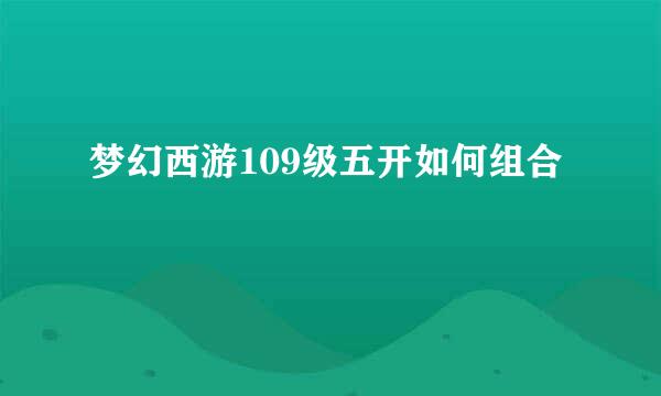 梦幻西游109级五开如何组合