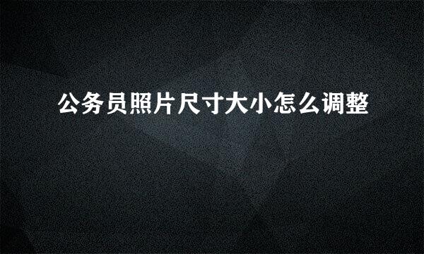 公务员照片尺寸大小怎么调整