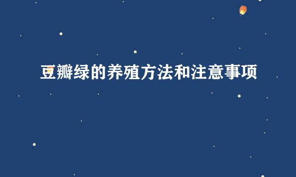 豆瓣绿的养殖方法和注意事项