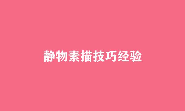静物素描技巧经验