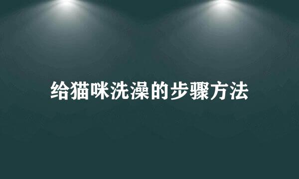 给猫咪洗澡的步骤方法